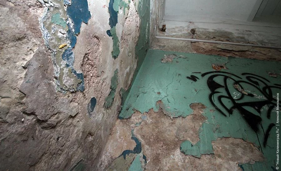infect-30.webp