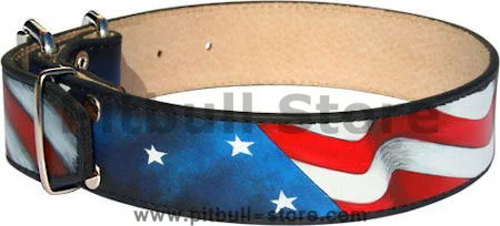 ing-Patriotic-American-Flag-Dog-Collar-Pitbull_LRG.webp