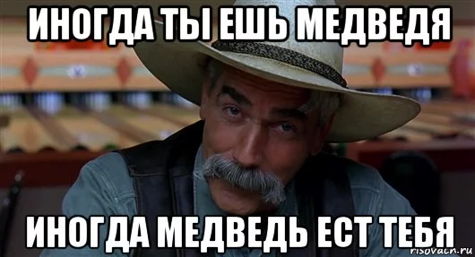 inogda-ty-esh-medvedya_91914423_orig_.webp