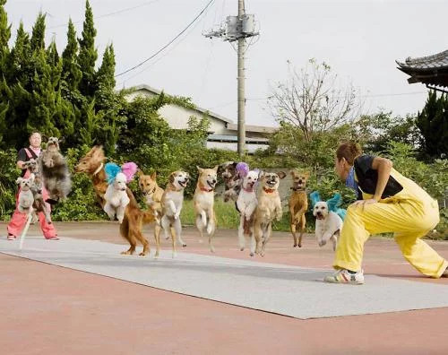interesting_2012020316090038.webp