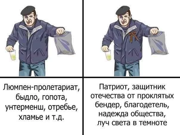 -InvFzXEKqY.webp