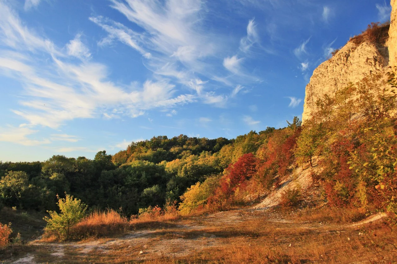 INZsILMn05k.webp