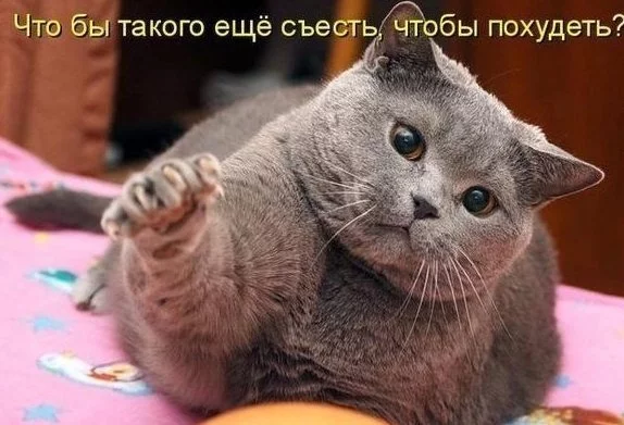 IOTwwz_Ldu0.webp