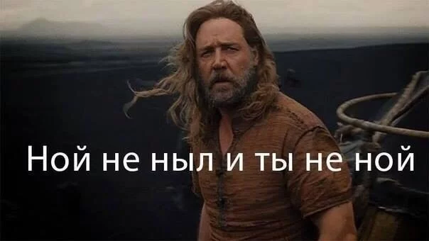 iPcucysLZEo.webp