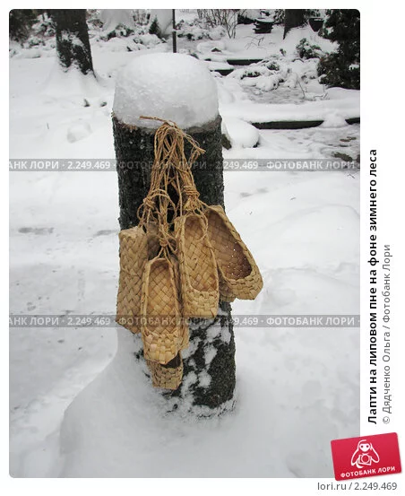 ipovom-pne-na-fone-zimnego-lesa-0002249469-preview.webp