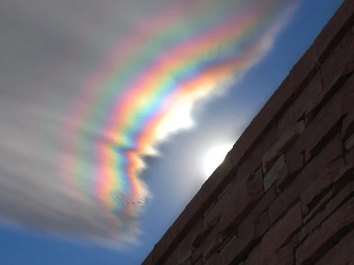iridescent.webp