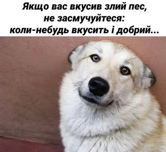 irOQRc1jc5_WfY8&_nc_zt=23&_nc_ht=scontent.fiev28-1.webp