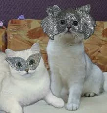 iRTg1wcR7Hgcp1XAptU0ZawKgaJAmyWqB0Fkvmdv6Qk8gCJLDw.webp