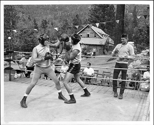 is-Presley-and-Charles-Bronson-in-Kid-Galahad-1962.webp