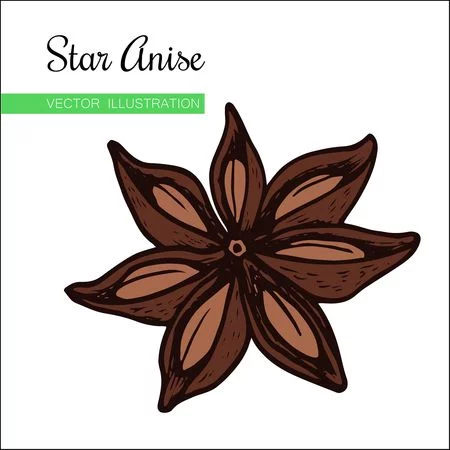 isolated-on-white-background-dried-star-aniseed-or.webp