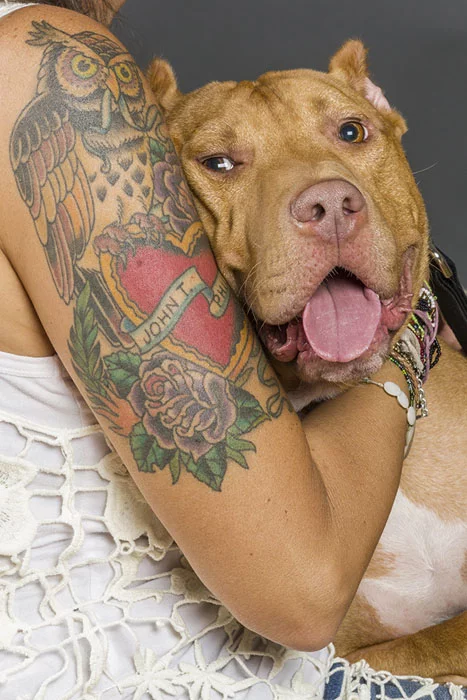 istaPhotography-20120930-TattoosAndRescues-Sarge-2.webp
