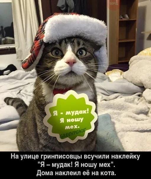 ISUdgtydoyQ.webp