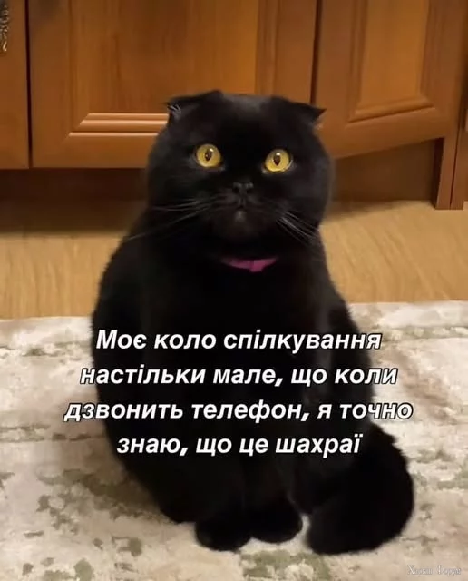 IunIrObIDUzlwtU&_nc_zt=23&_nc_ht=scontent.fiev25-1.webp