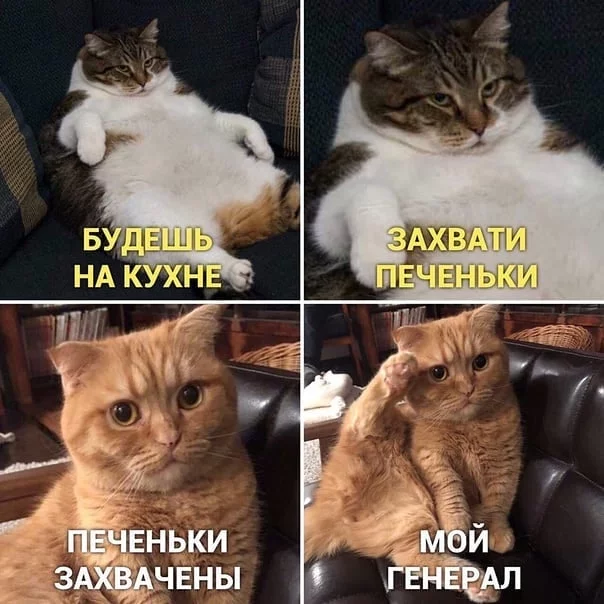 ivdht2qnzgc41.webp