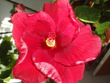 iVYrM.webp