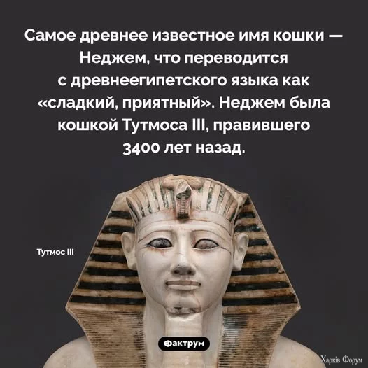 -iyBcKvFcWFcVXg&_nc_zt=23&_nc_ht=scontent.fiev28-1.webp