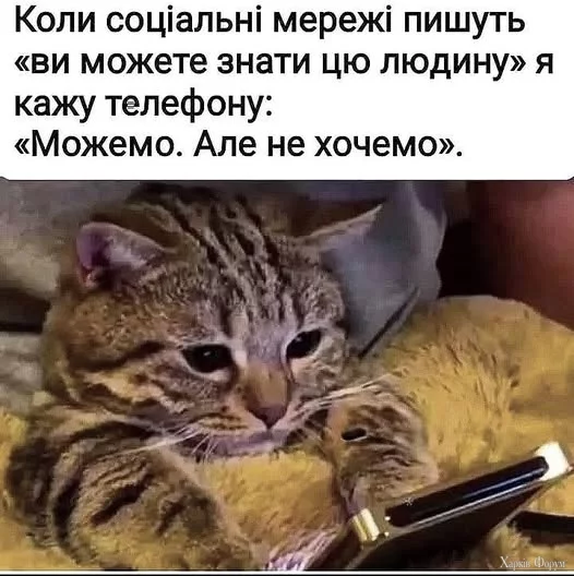 iysFpHHVx9ik_XI&_nc_zt=23&_nc_ht=scontent.fiev28-1.webp