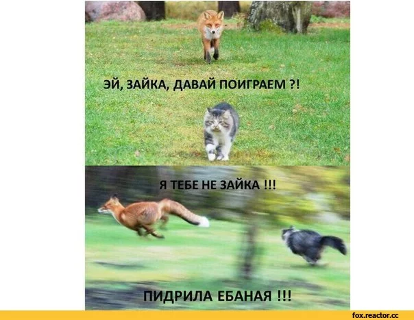 IYTsEd6UoHs.webp