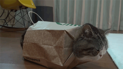 j0ajaa.gif