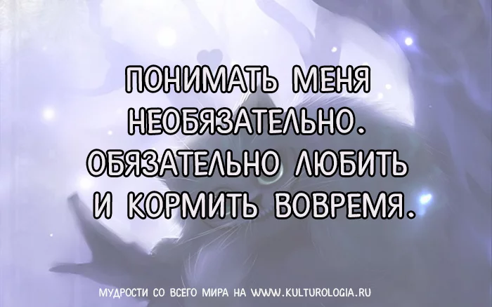 j0ddgf.webp