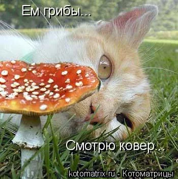 j0gbea.webp