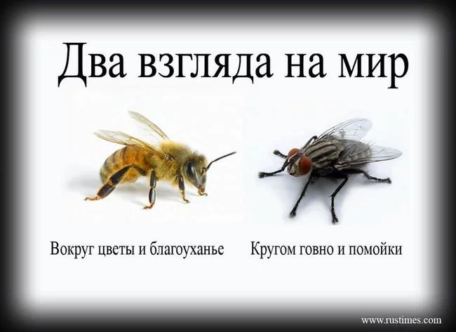j0jacd.webp