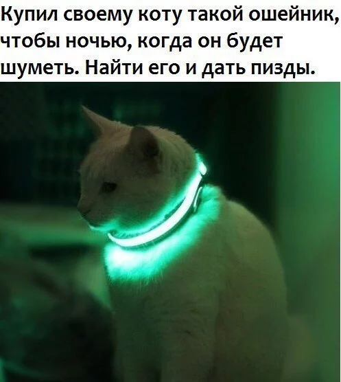 J0WnbK7YyUc.webp