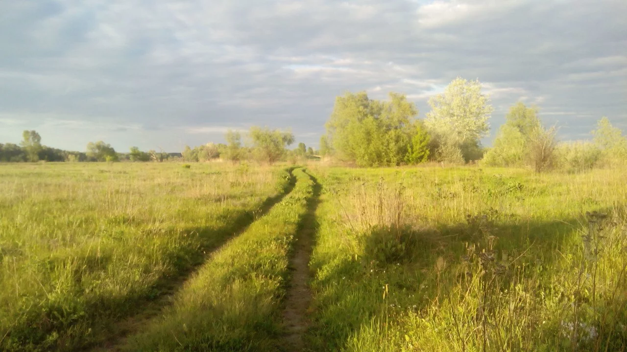 j1bbgj.webp
