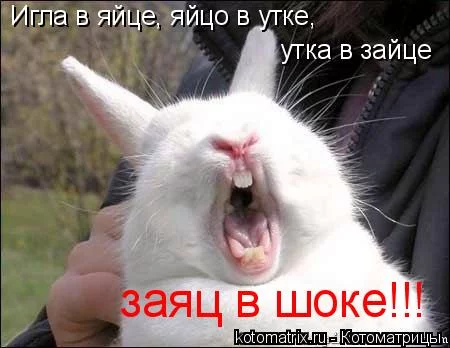 j1ecab.webp