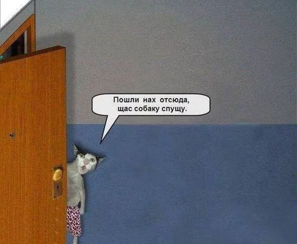 J1rI0bKDR_U.webp