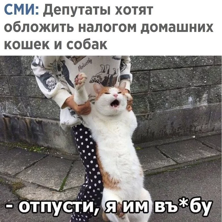 j2bjaa.webp