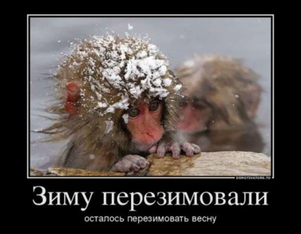 j2cgjh.webp