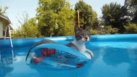 j2gfdf.gif