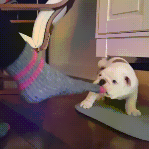 j3cebf.gif