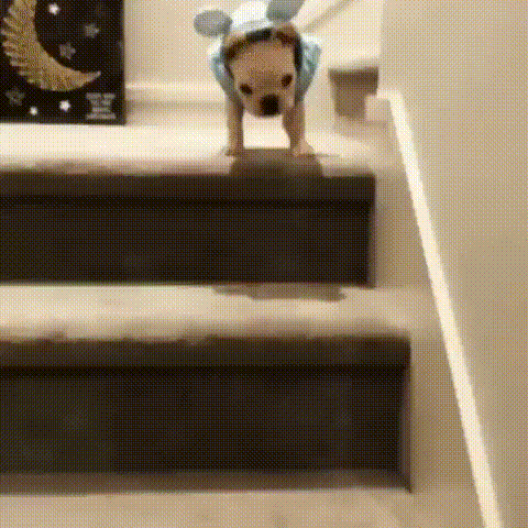 j3cfce.gif