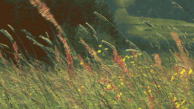 j3ecdc.gif