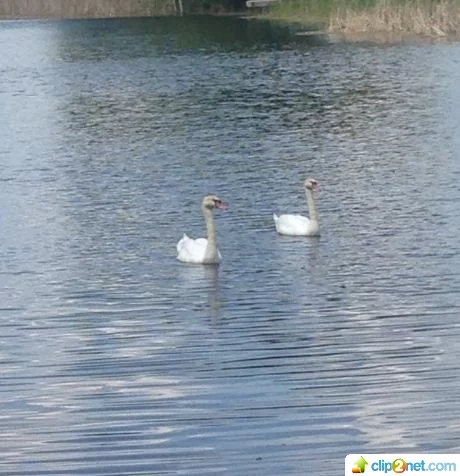 j3fffj.webp