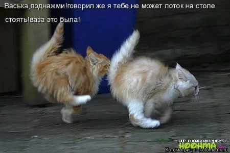 j4ehcj.webp
