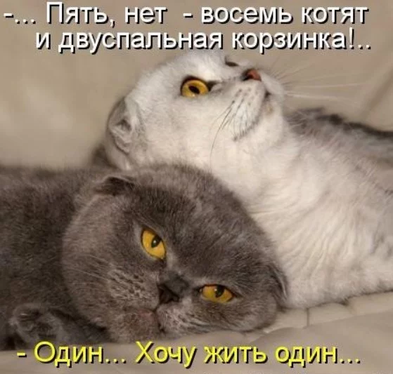 j4fhgg.webp