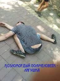 j5bgej.webp