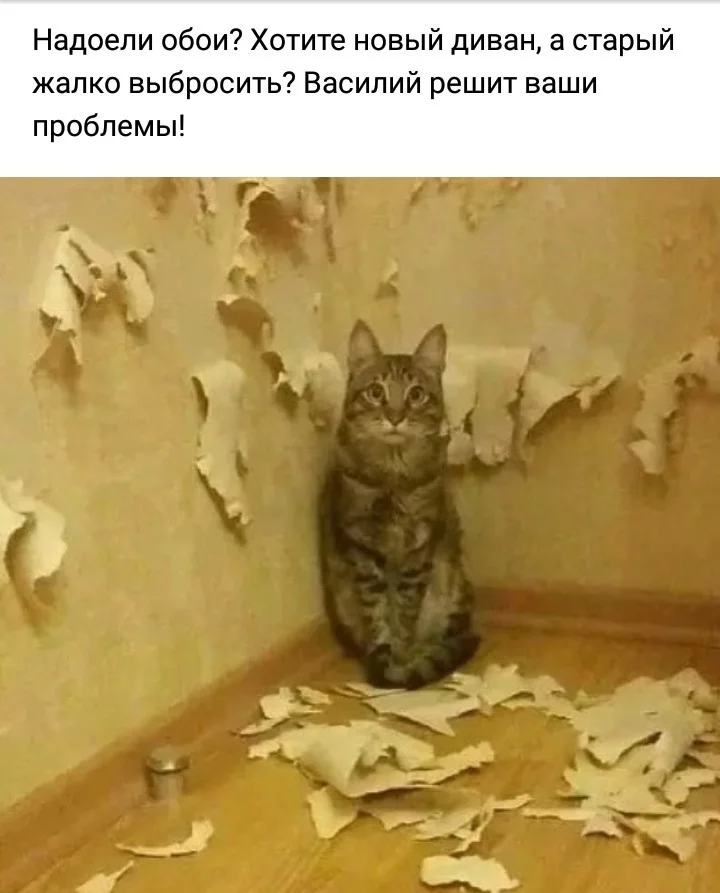 j5ddaj.webp