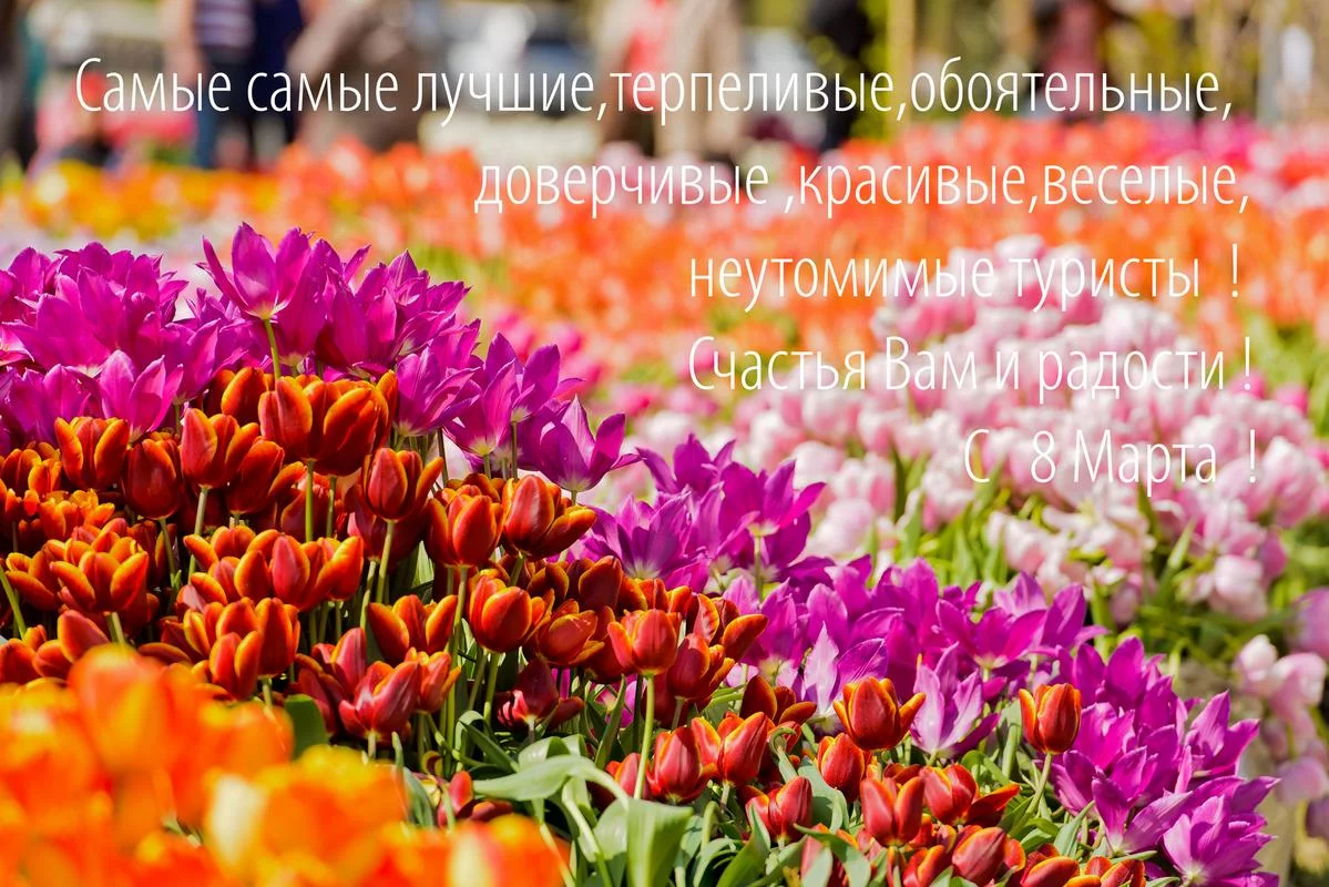 j5fgbe.webp