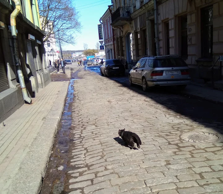 j5hjhb.webp