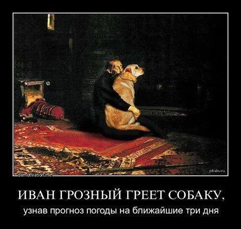 j6aacc.webp