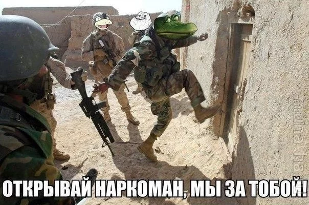 j8gbgf.webp