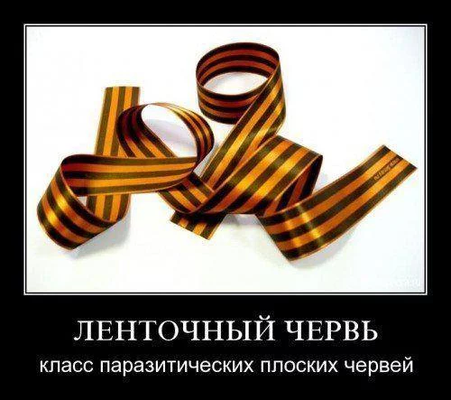 j9bece.webp