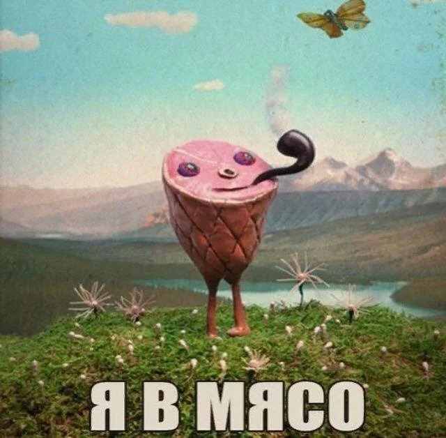j9cdaf.webp
