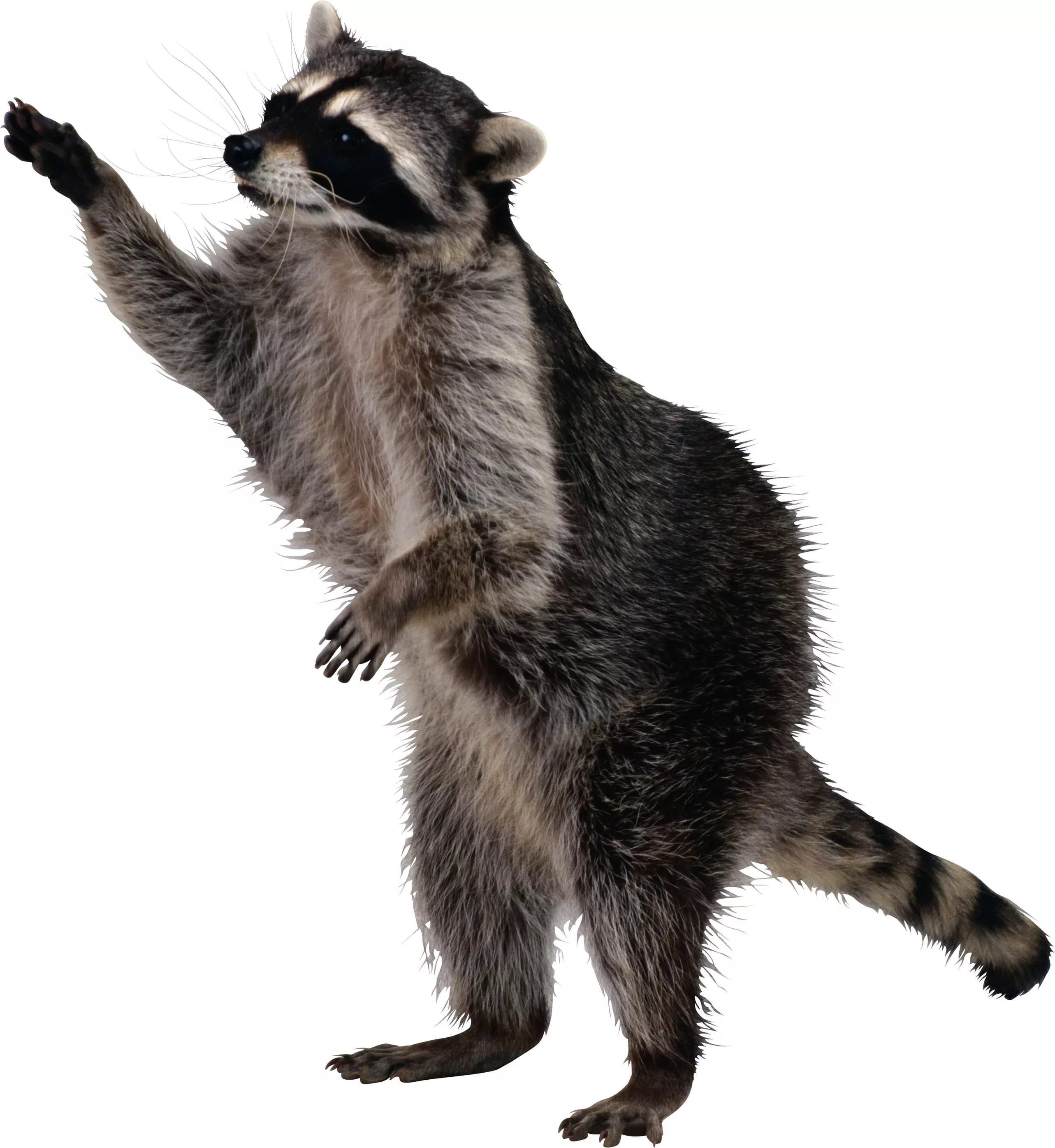 j9edaj.webp