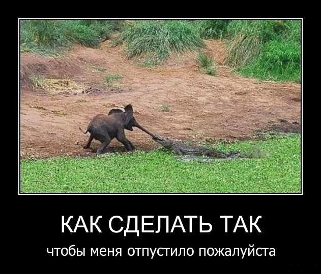 j9eejd.webp