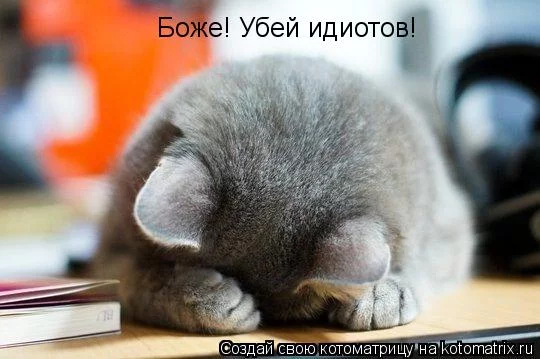 j9hgdg.webp
